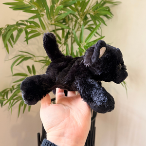 A small black plush toy with floppy ears and a stitched face is being held in a person's hand in front of a green plant and beige wall.
