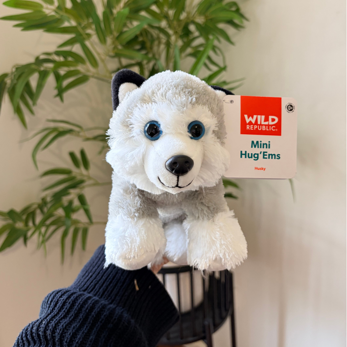 A plush mini husky toy held in a hand, with its retail hangtag still attached. The tag reads 'WILD REPUBLIC Mini Hug'Ems'.