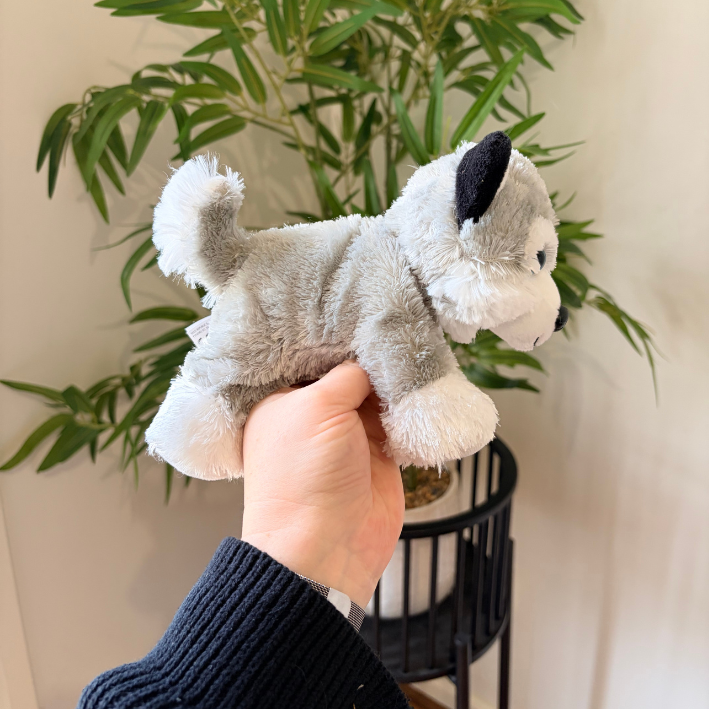 A small plush puppy toy with gray, white, and black fur is being held up by a person's hand in front of a potted green plant.