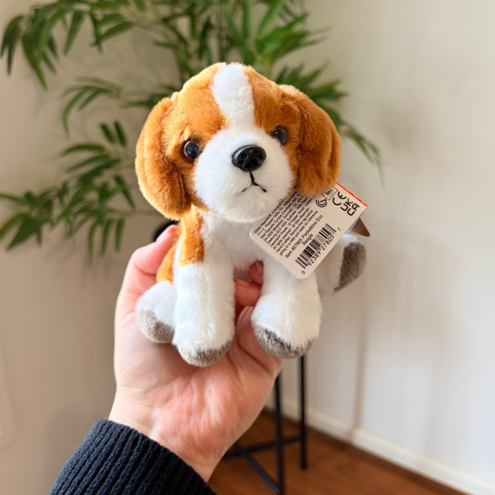 A small plush dog toy being held in a person's hand, featuring brown and white fur with gray paws and a hangtag attached. The background shows a softly blurred indoor setting with a plant and light-colored wall.