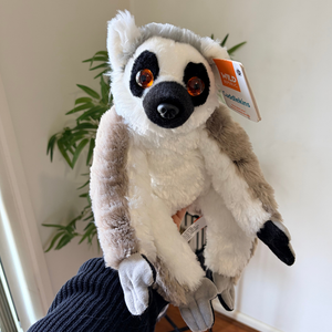 A plush ring-tailed lemur stuffed animal with large orange eyes, black and white fur, and a hangtag, being held up by a person's hand in front of a white wall and green plant.