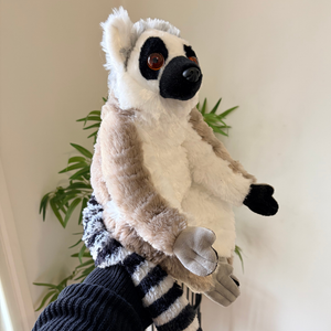 A plush ring-tailed lemur stuffed animal being held by a hand wearing a black and white striped knit glove, with a cream wall and green plant leaves in the background.