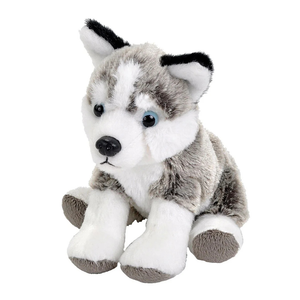Plush toy husky on a white background