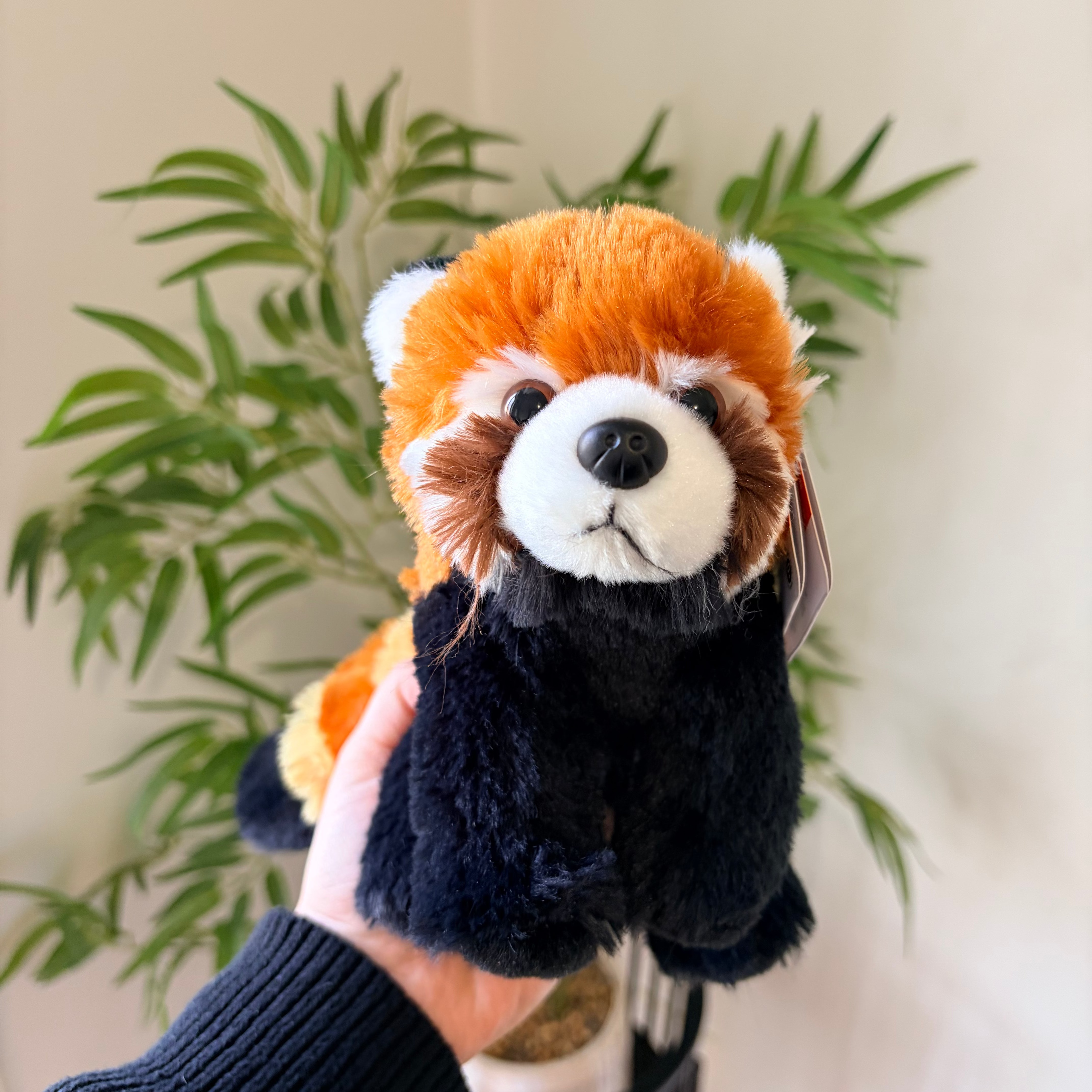 A small red panda plush toy being held up by a person's hand, with a green potted plant and cream-colored wall in the background.