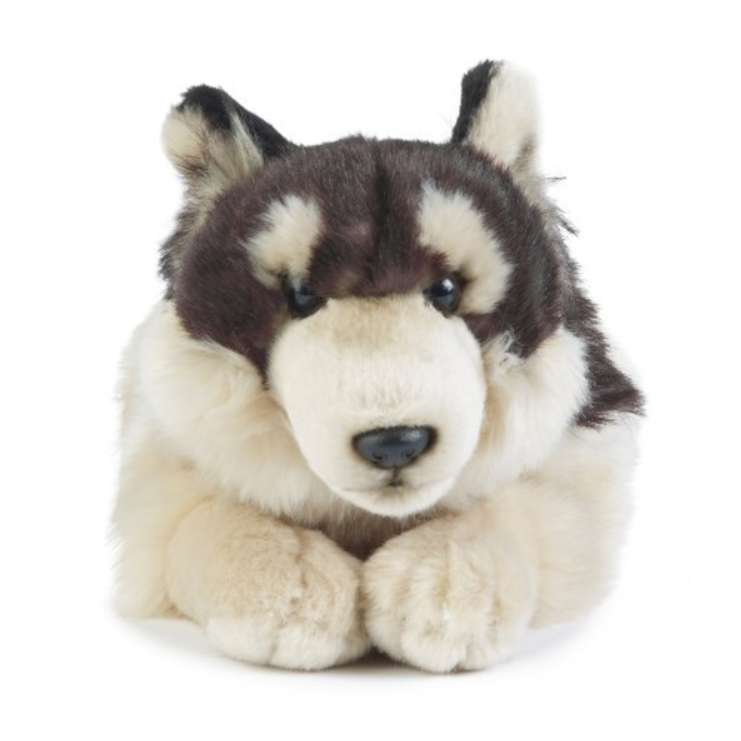 Plush toy husky on a white background