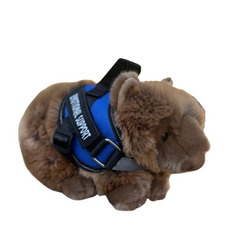 Wombat plushie wearing a blue emotional support vest - ESSA gear