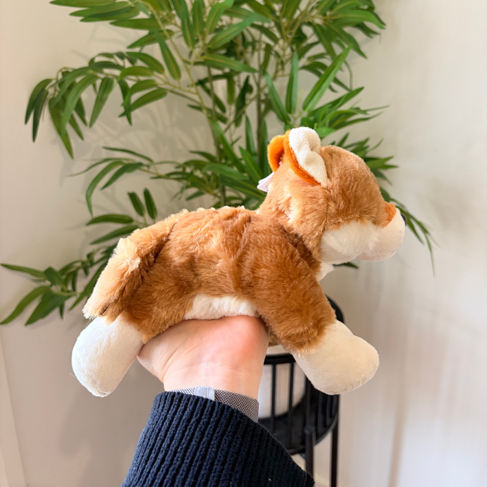 A plush dog toy with brown and cream fur is held in a person's hand in front of a green potted plant and white wall.
