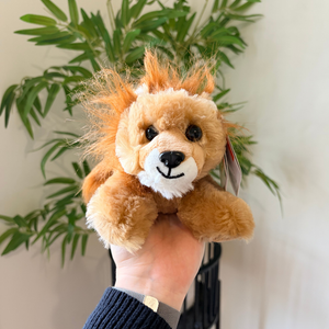 A small plush lion toy with fluffy tan and cream fur, black eyes, and a black nose, being held in a person's hand in front of a green plant and light wall.