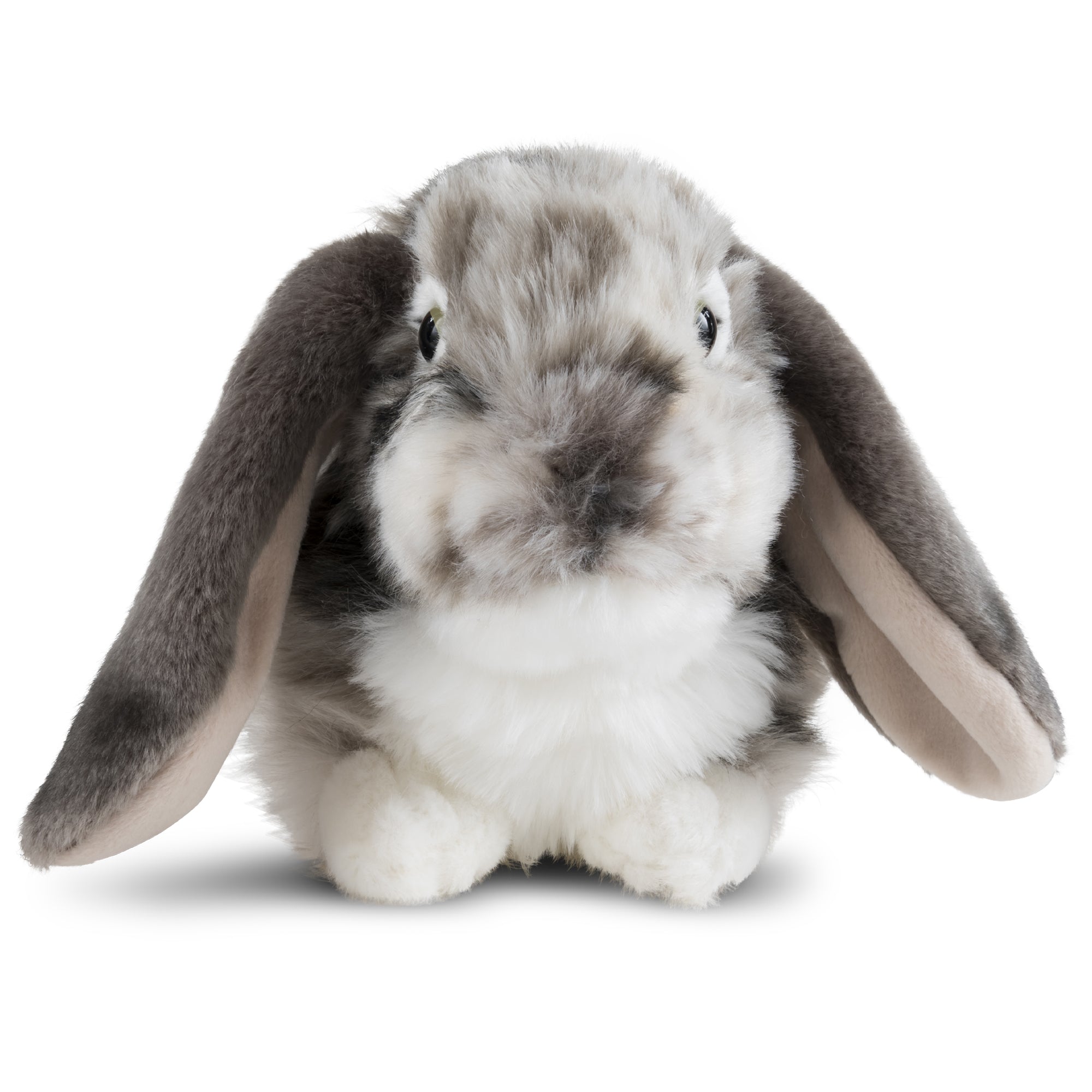 Dutch Lop Rabbit Plushie - Emotional Support Stuffed Animal - Living ...