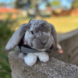 Rabbit Dutch Lop plushie wearing a pink emotional support vest - ESSA