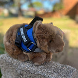 Wombat plushie wearing a blue emotional support vest - ESSA