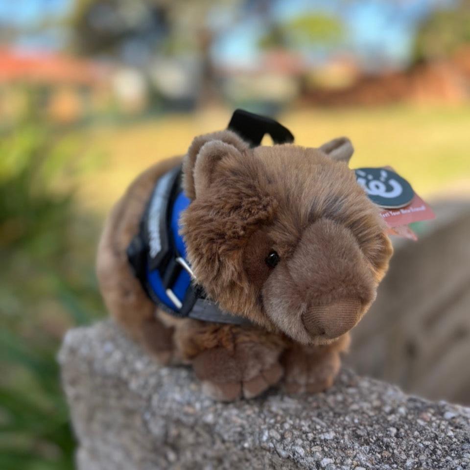 Wombat plushie wearing a blue emotional support vest - ESSA gear