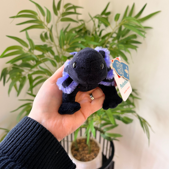 A small plush toy frog being held in a person's hand in front of a potted green plant. The plush is black with purple accents on its feet and ears, and has a visible tag that appears to read 'Peachy'.