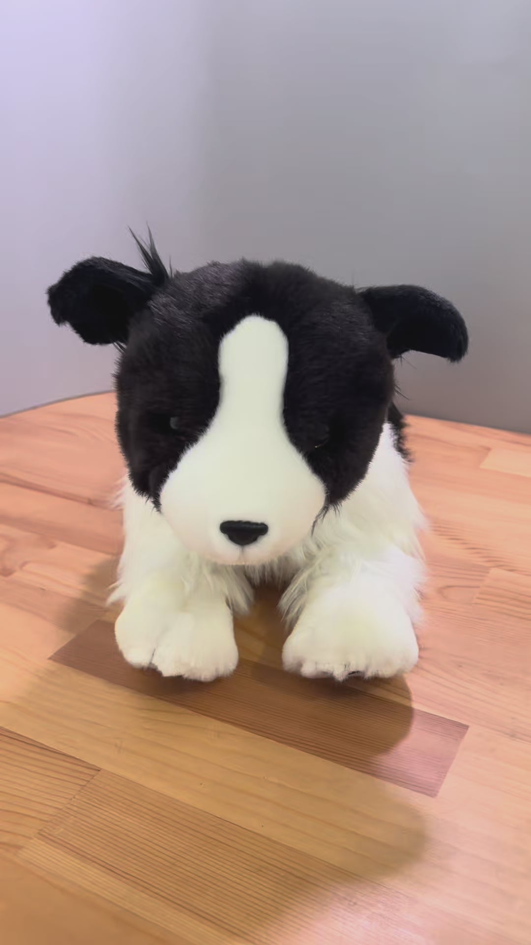 Brave Border Collie | Little Paws Plushies | Big Paws