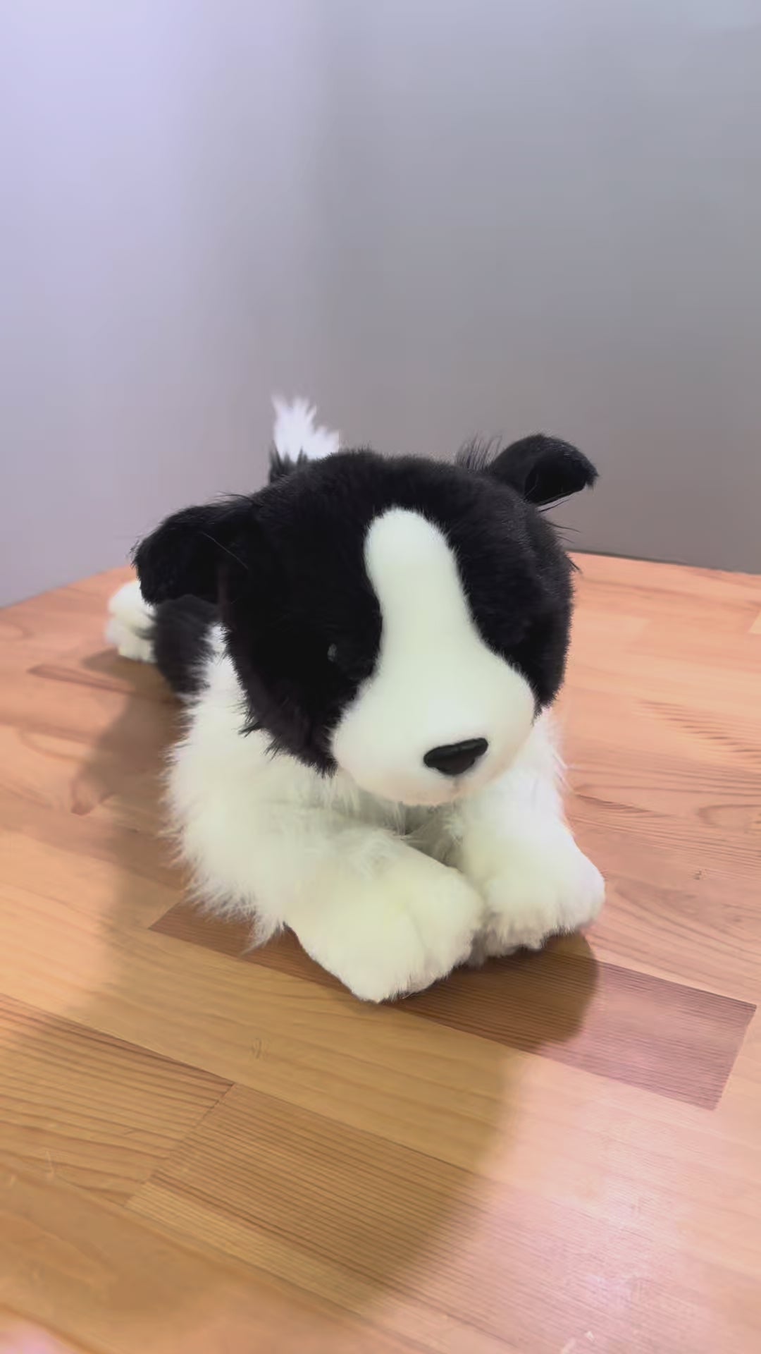 Brave Border Collie | Little Paws Plushies | Little Paws
