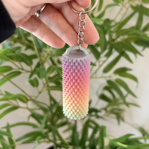 Colorful textured keychain held by a hand with a plant in the background